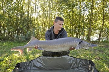 CARP FISHING......